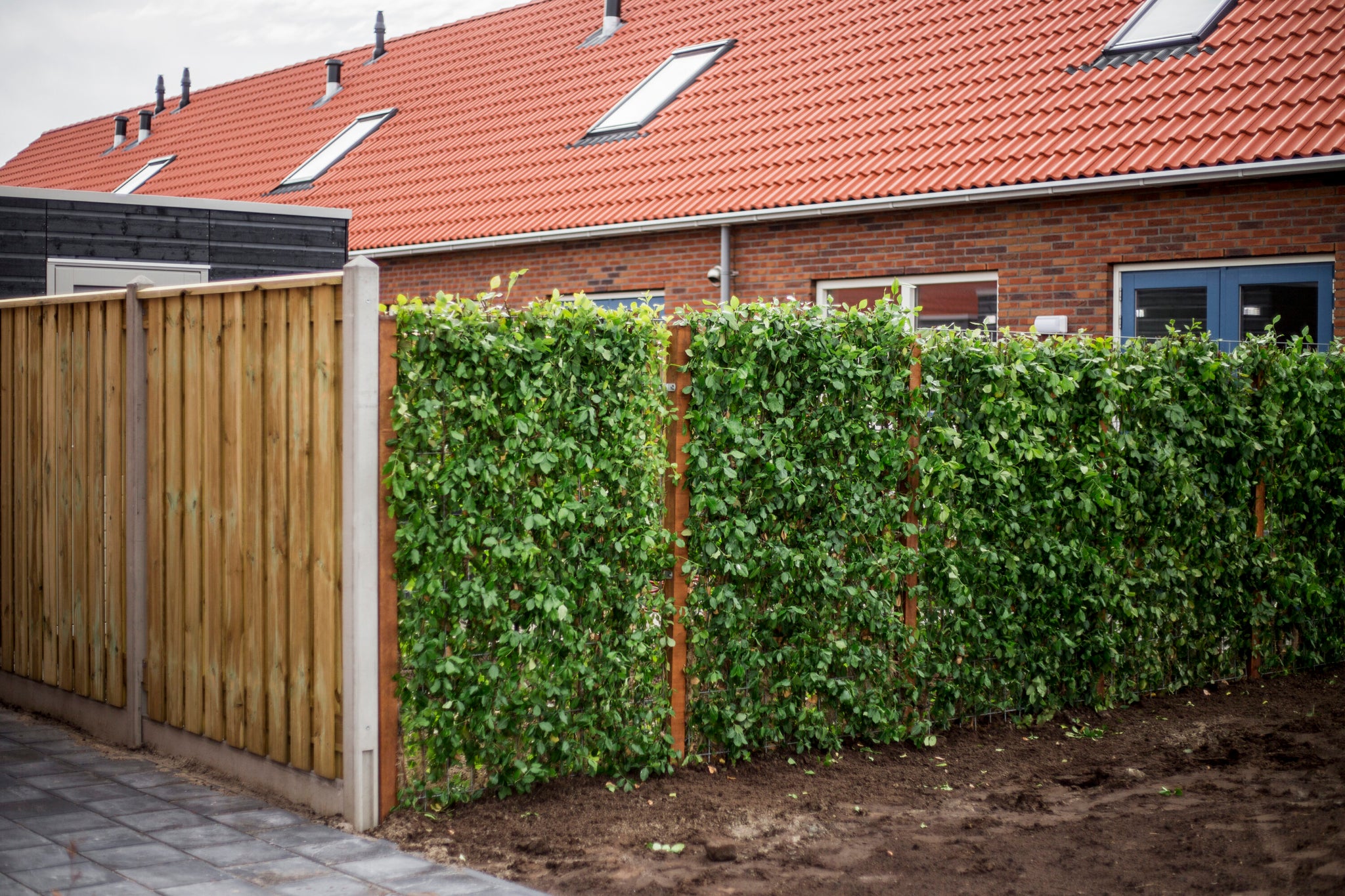 Privacy in je tuin: zo ga je van glurende buren naar groene muren