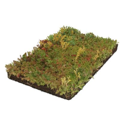 Mix met 7 Sedum soorten plantenmat